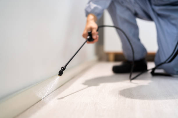 Licensed Cockroach Control service in Littlerock, CA - Nex Pest Control