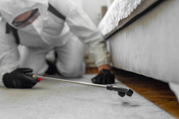Professional Cockroach Control technician working in Littlerock, CA